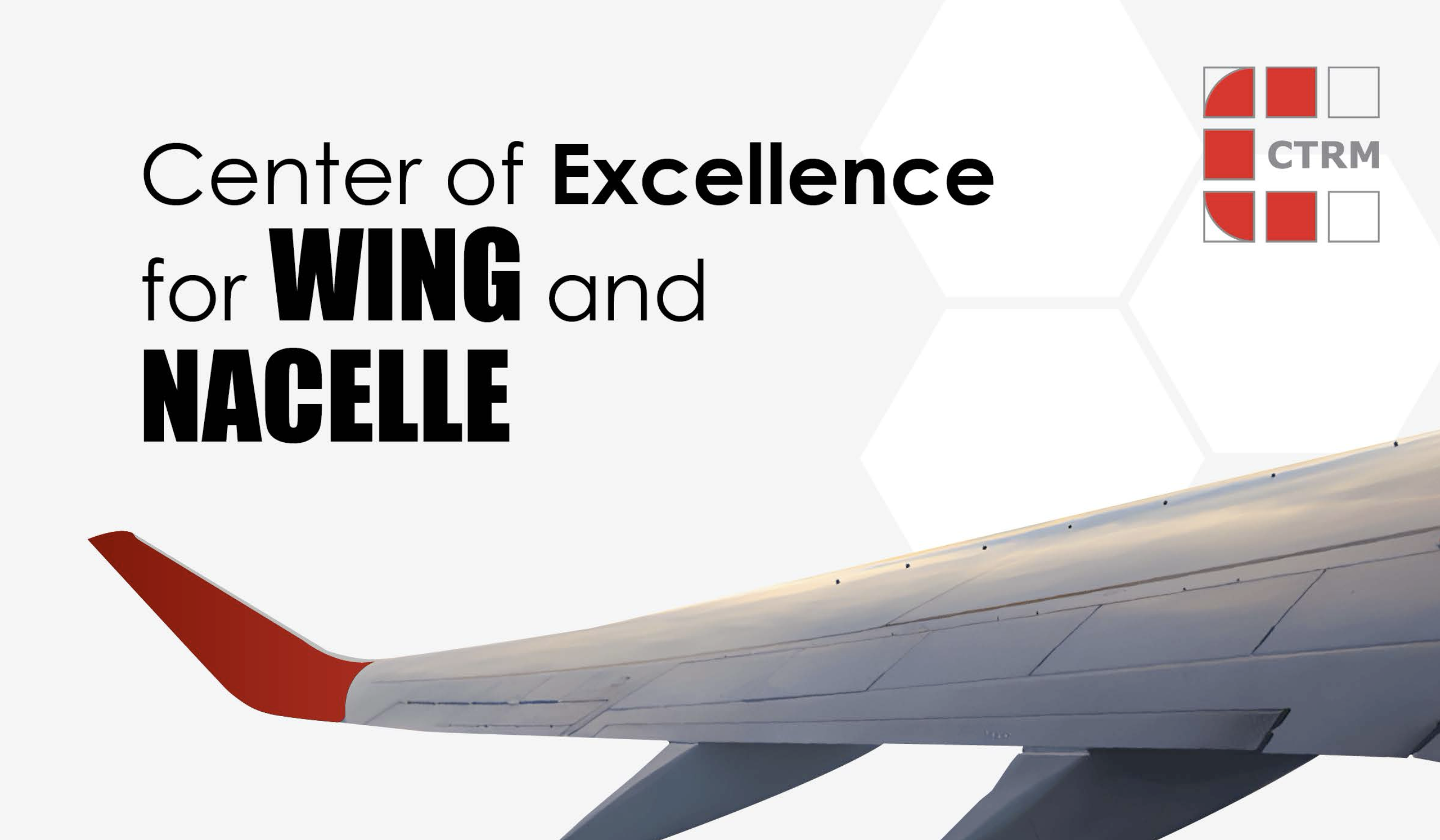 Center of Excellence for WING and NACELLE